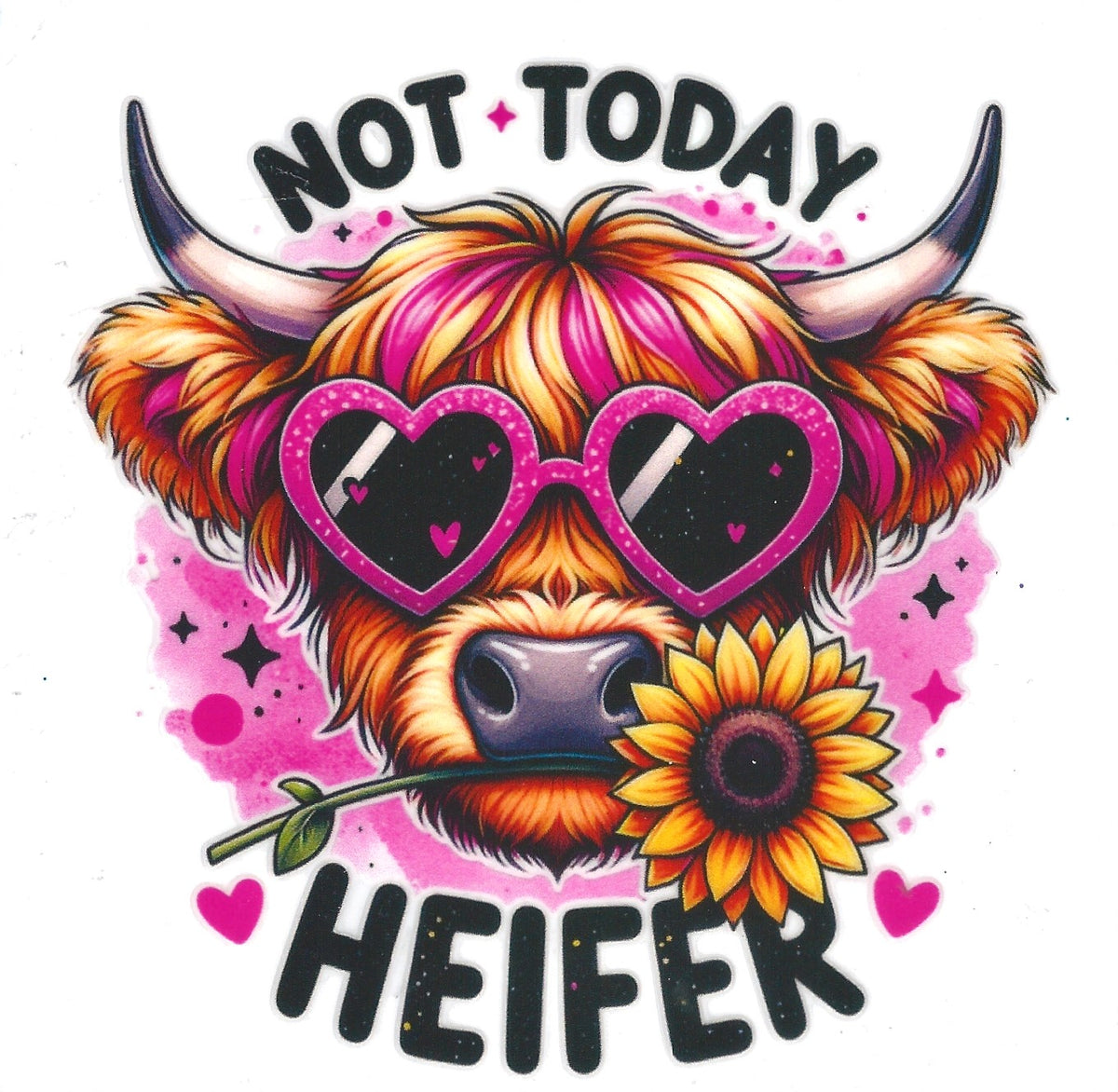 Not Today Heifer