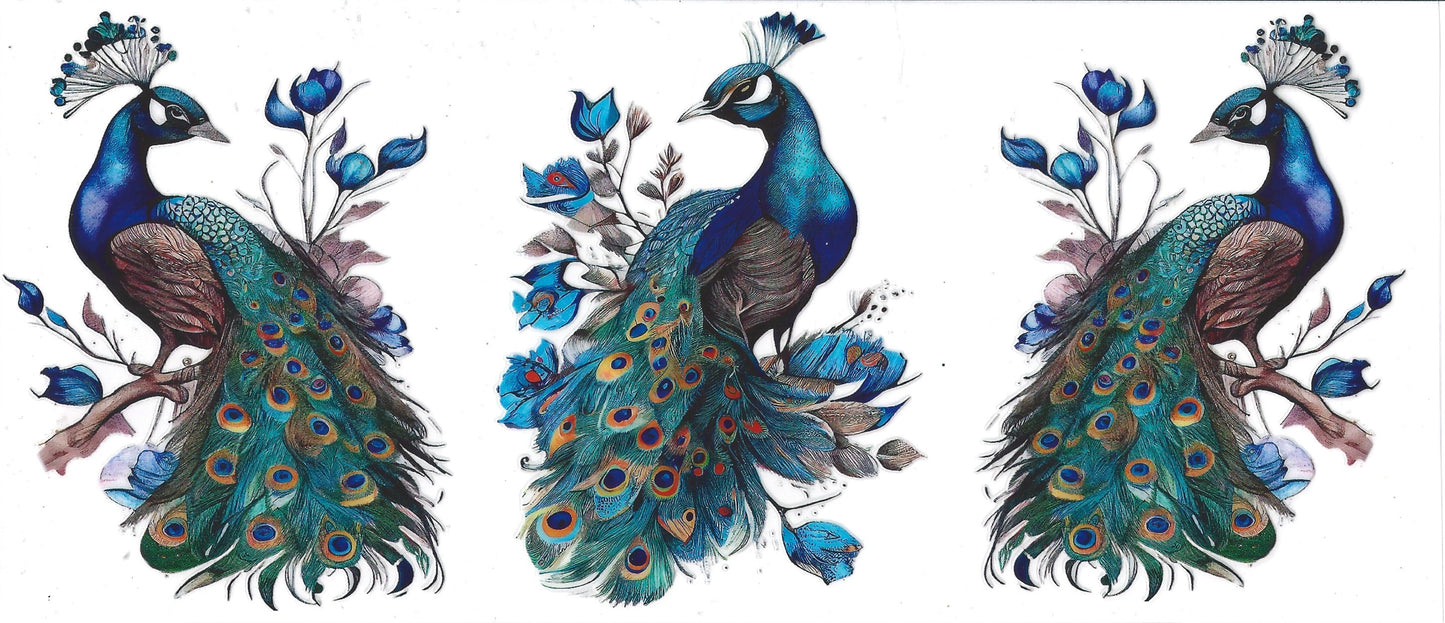 Peacock Trio