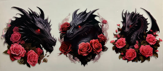Dragons, Beautiful