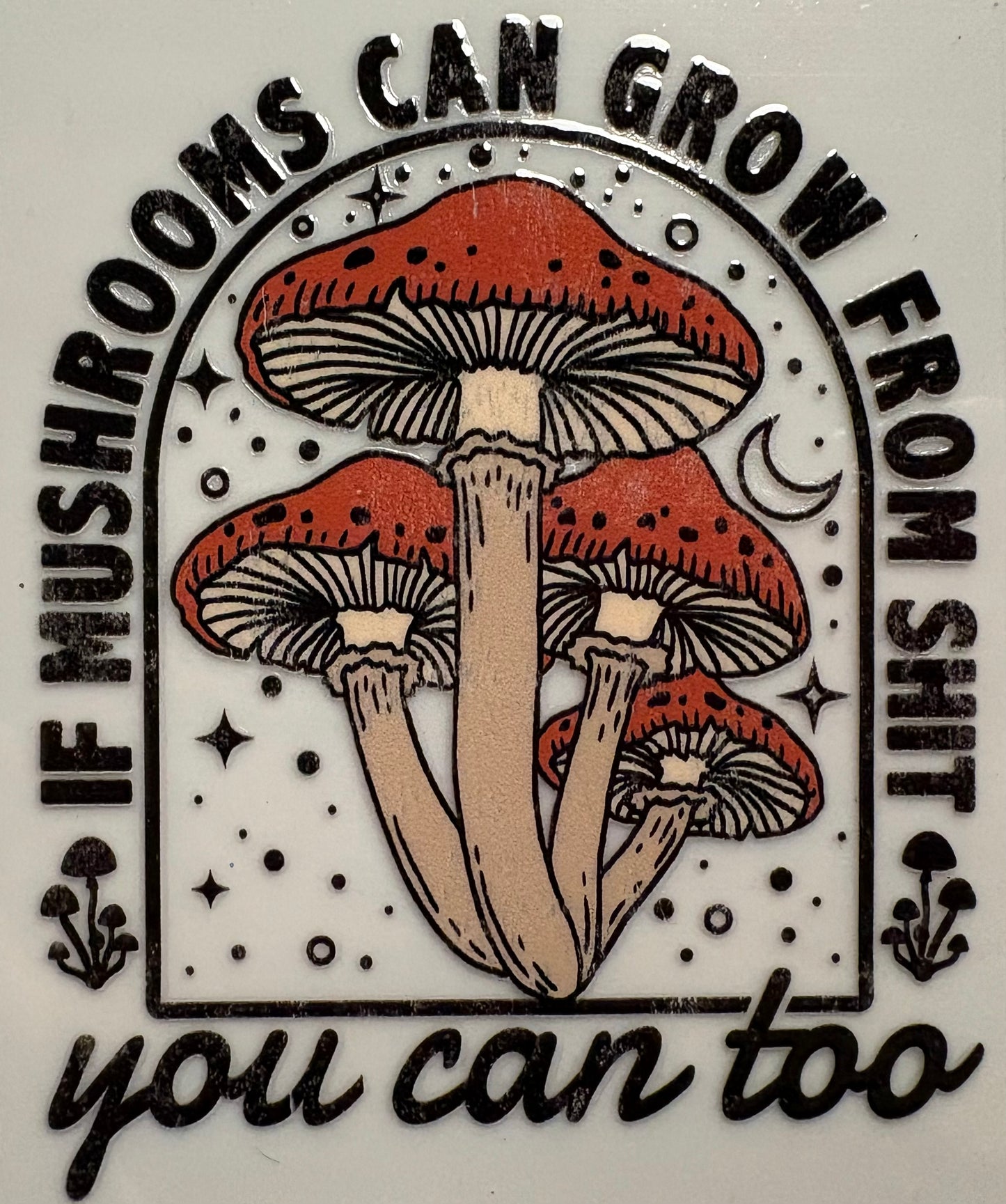 If Mushrooms can grow from shit, you can too!
