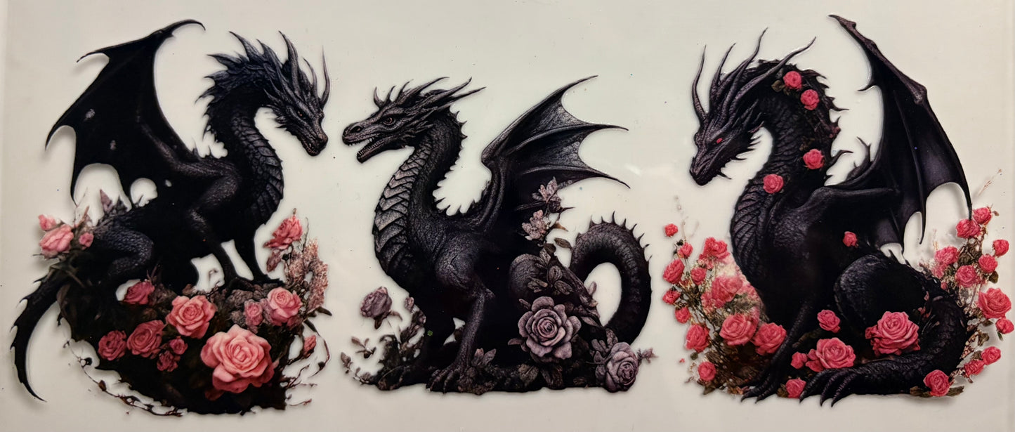 Dragons, Beautiful