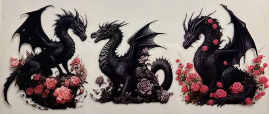 Dragons, Beautiful