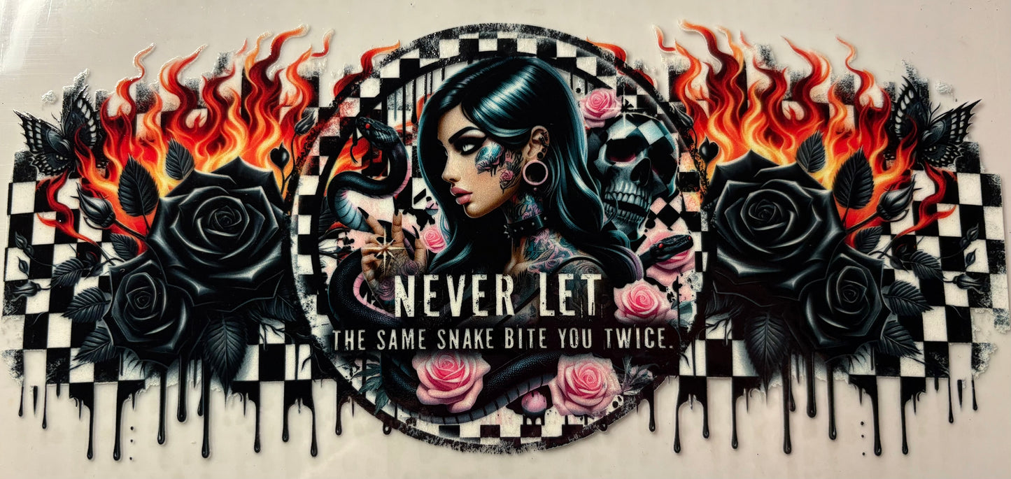 Never Let the Same Snake Bite you Twice