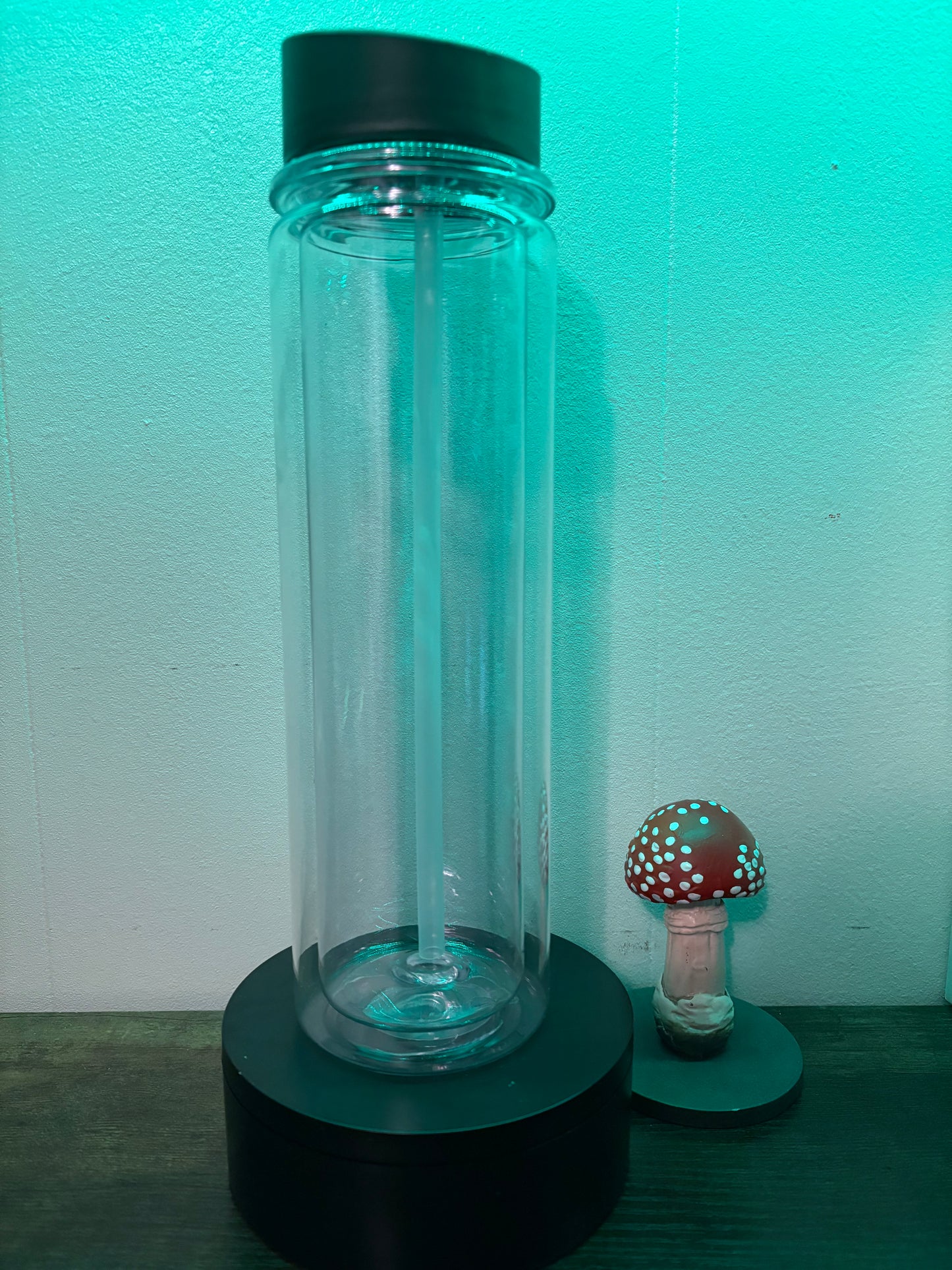 18oz Acrylic Snowglobe Waterbottle (diamond compatible)