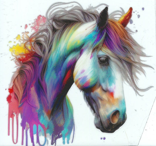 Rainbow Stallion