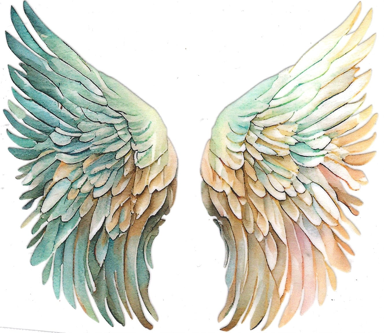 Angel Wings, Teal