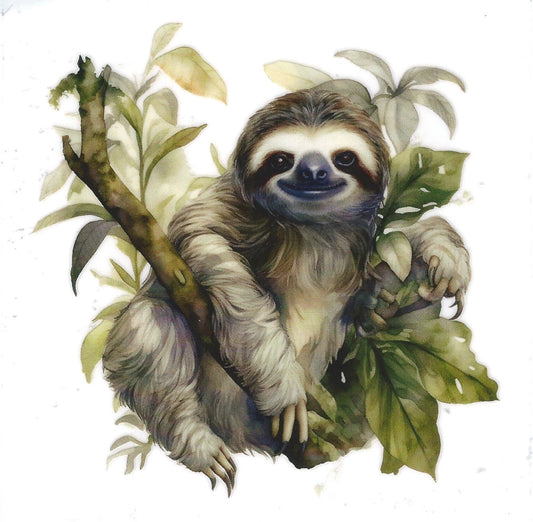 Happy the Sloth 🦥