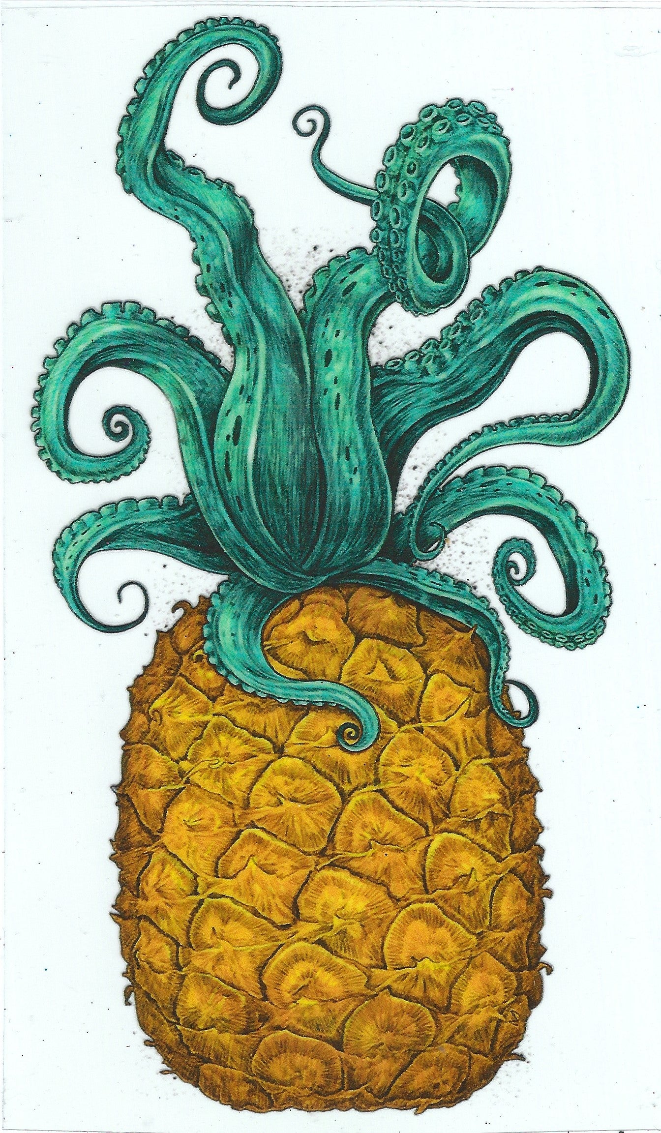 Pineapple