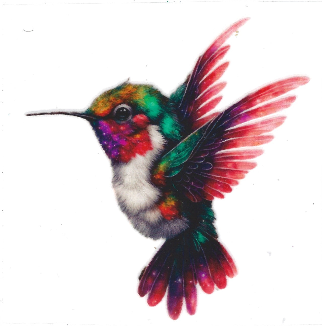 Hummingbird