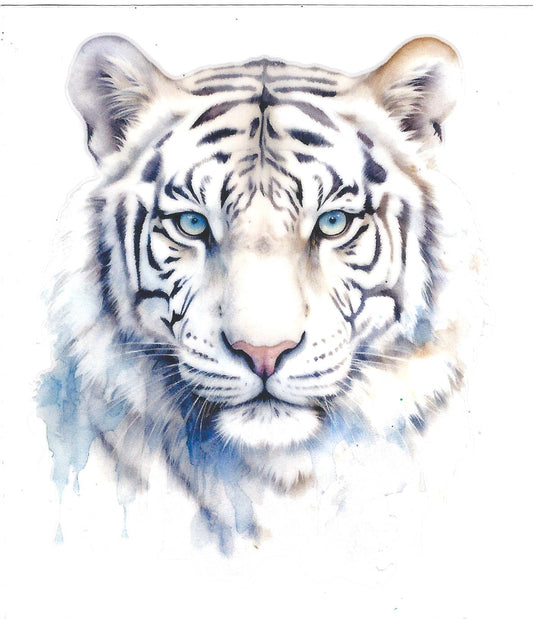 White Tiger Rrrrr 🐅